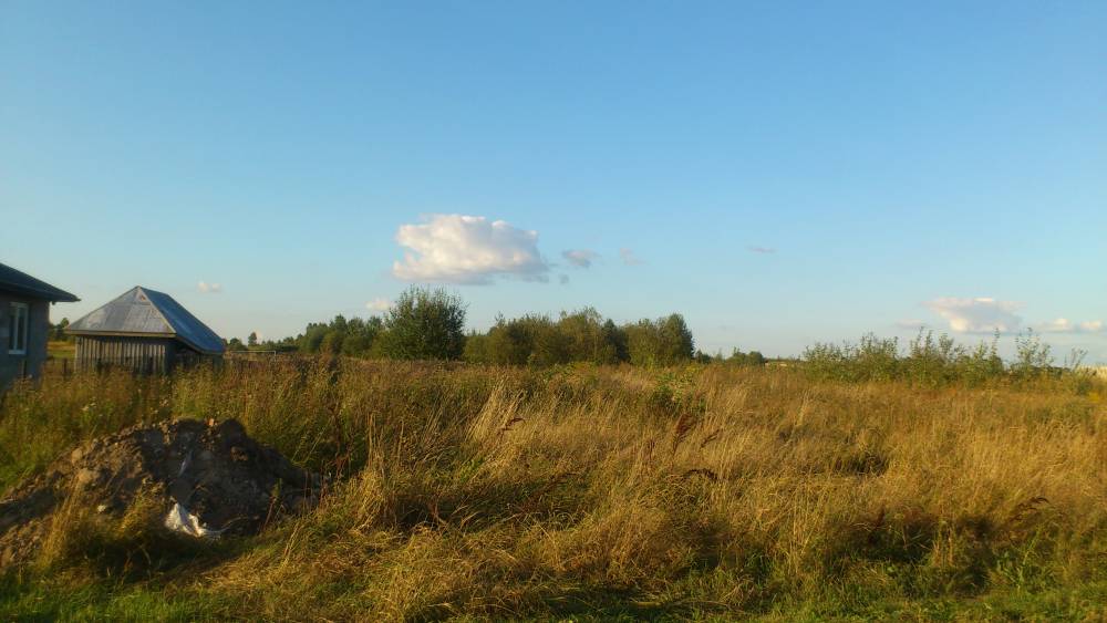 Zdjęcie do wpisu: Taką działeczkę sobie kupiliśmy:)