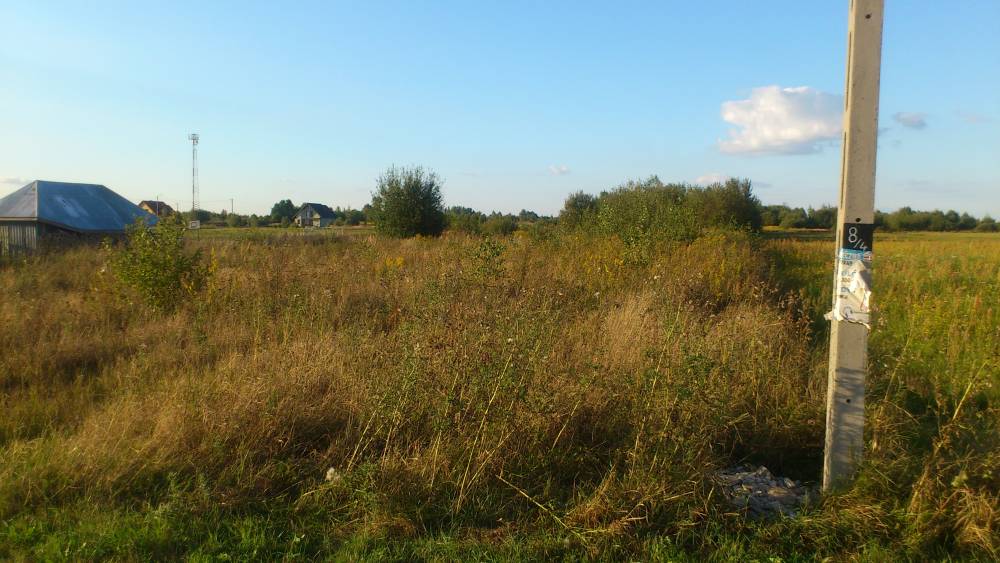 Zdjęcie do wpisu: Taką działeczkę sobie kupiliśmy:)