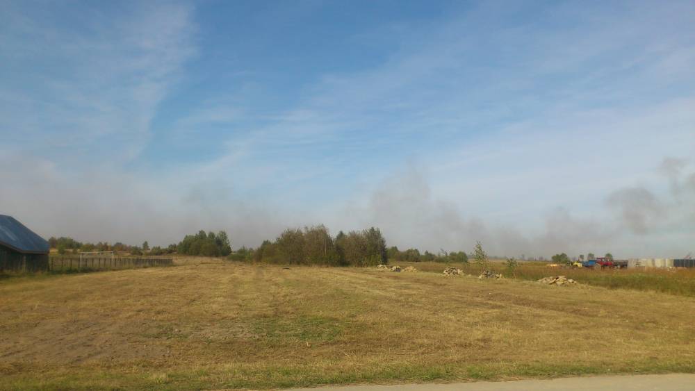 Zdjęcie do wpisu: Taką działeczkę sobie kupiliśmy:)