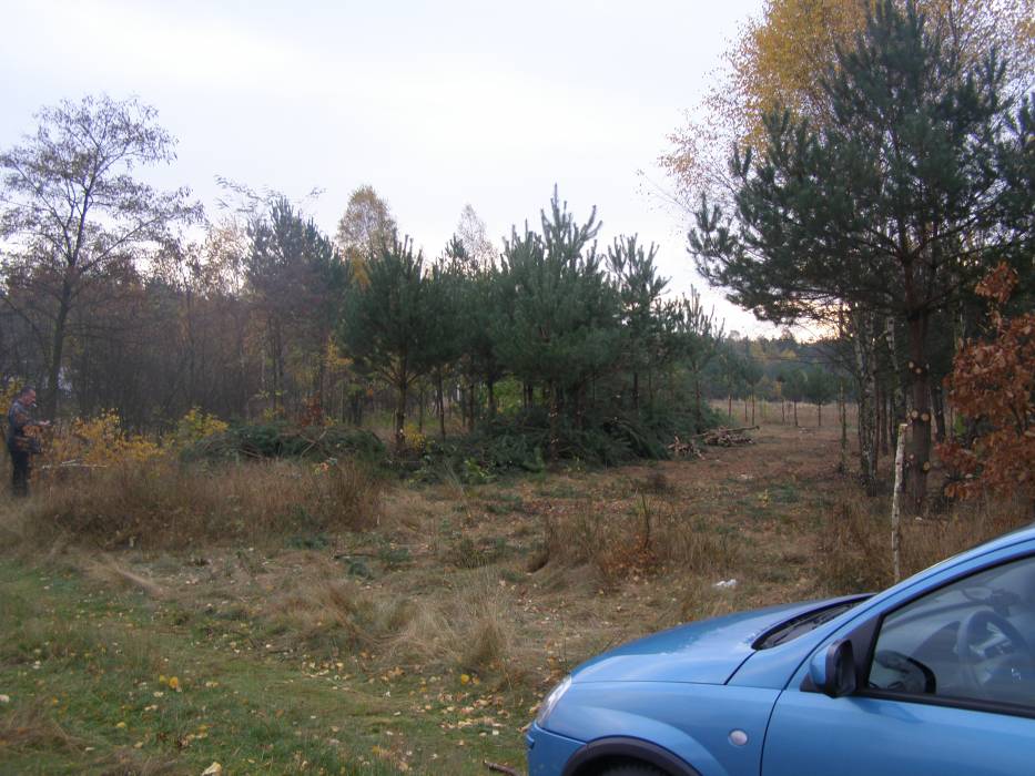 blog budowlany - mojabudowa.pl