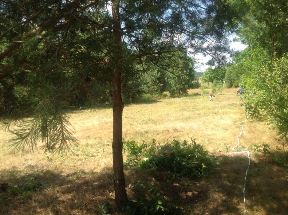 blog budowlany - mojabudowa.pl