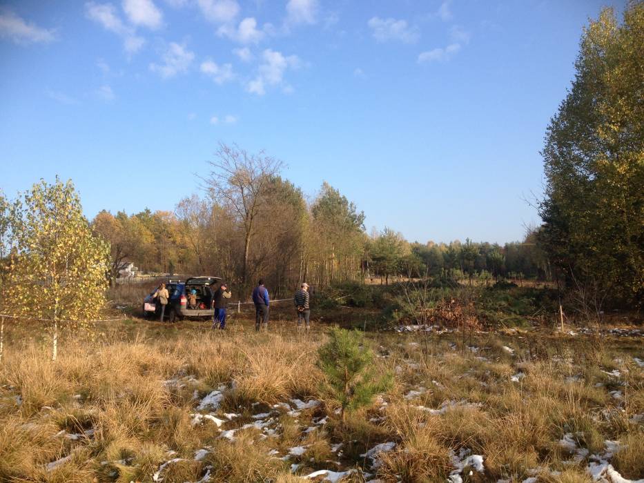 blog budowlany - mojabudowa.pl