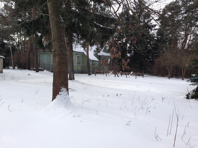 blog budowlany - mojabudowa.pl