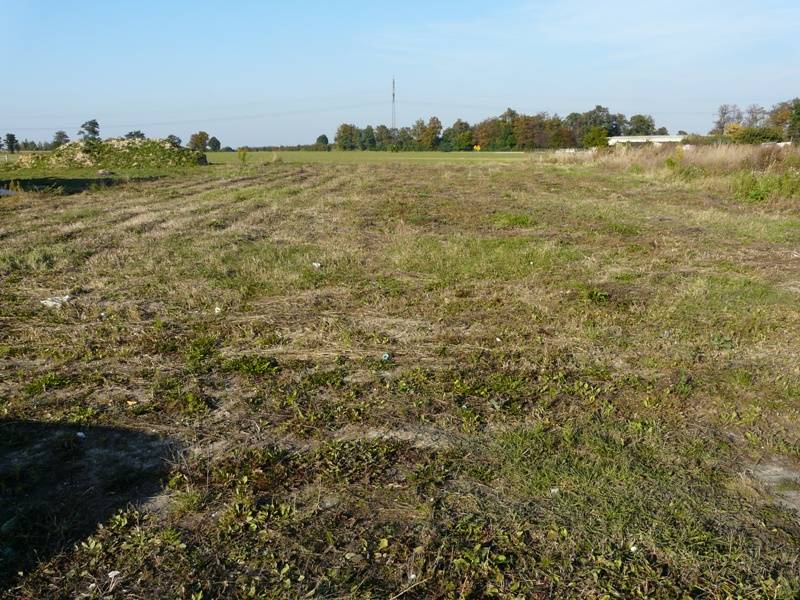 Zdjęcie do wpisu: Początek