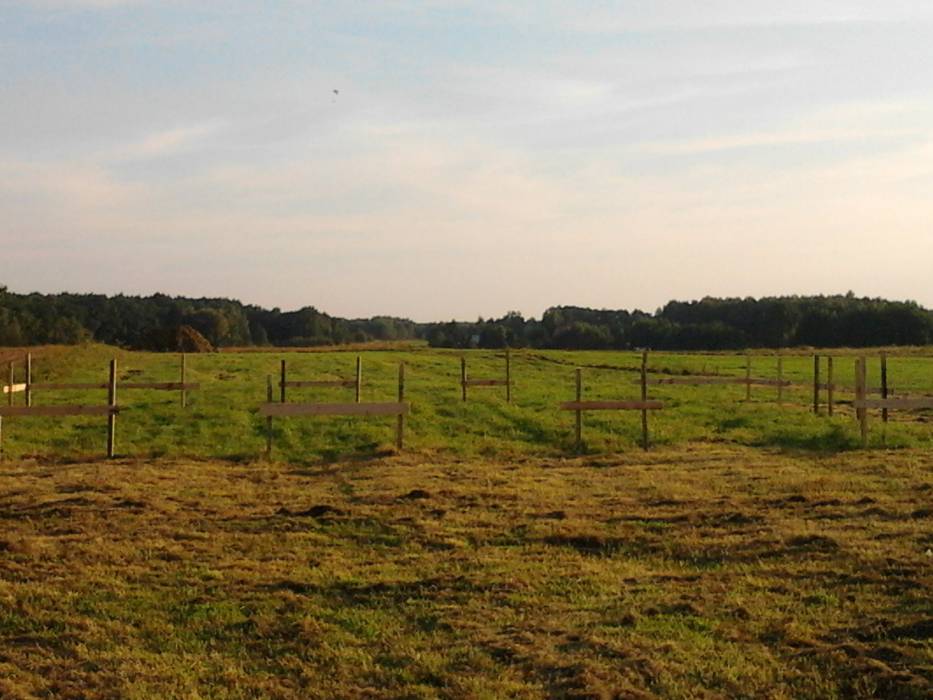 Zdjęcie do wpisu: Fundamenty... czyli zaczynamy budować :)