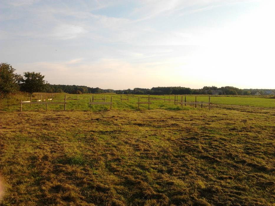 Zdjęcie do wpisu: witamy  :)