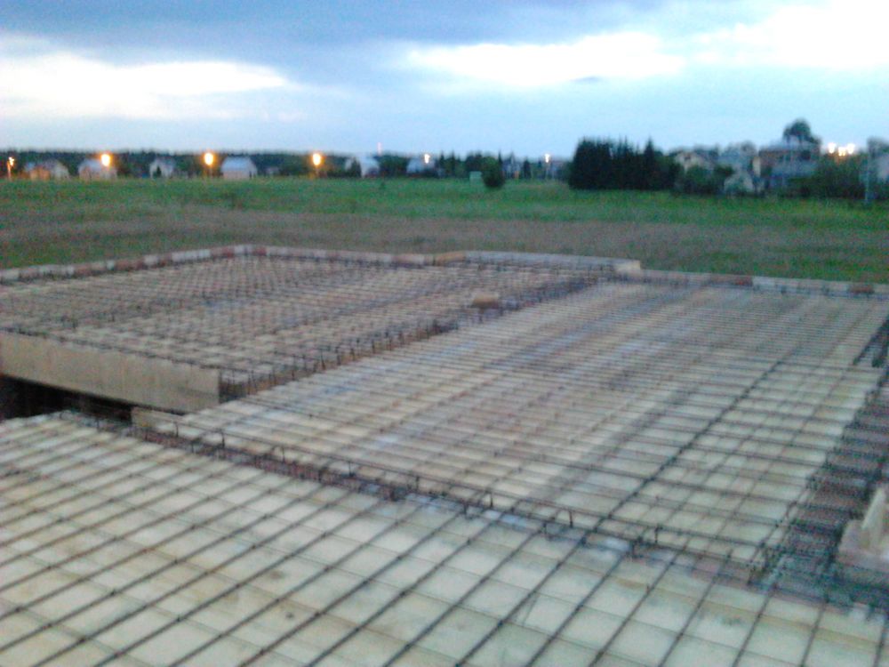 Zdjęcie do wpisu: opałek małymi kroczkami pnie się w górę... :)