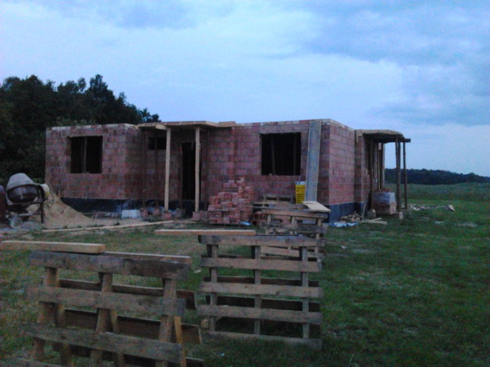 Zdjęcie do wpisu: opałek małymi kroczkami pnie się w górę... :)