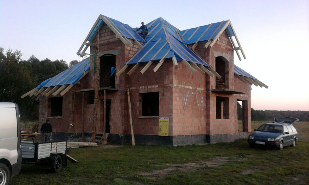 Zdjęcie do wpisu: opałek małymi kroczkami pnie się w górę... :)