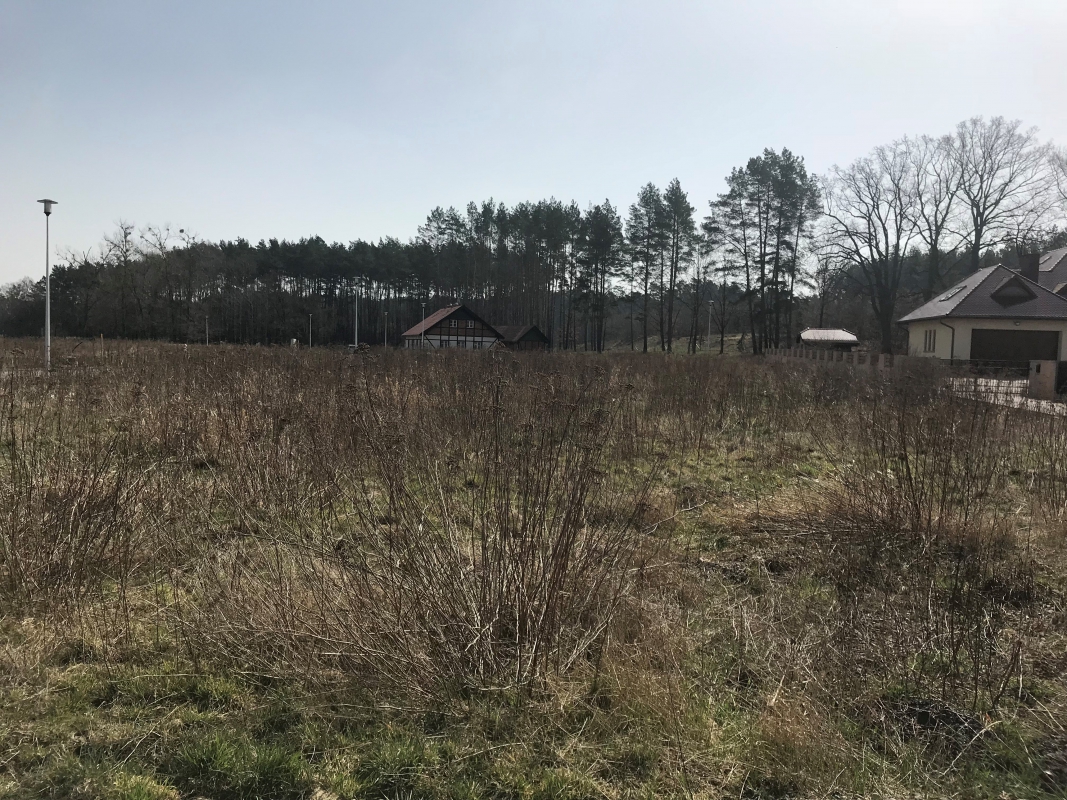 mojabudowa.pl - blog budowlany