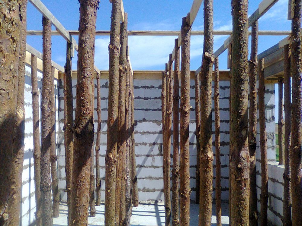 Zdjęcie do wpisu: i im oczom ukazał się las :)