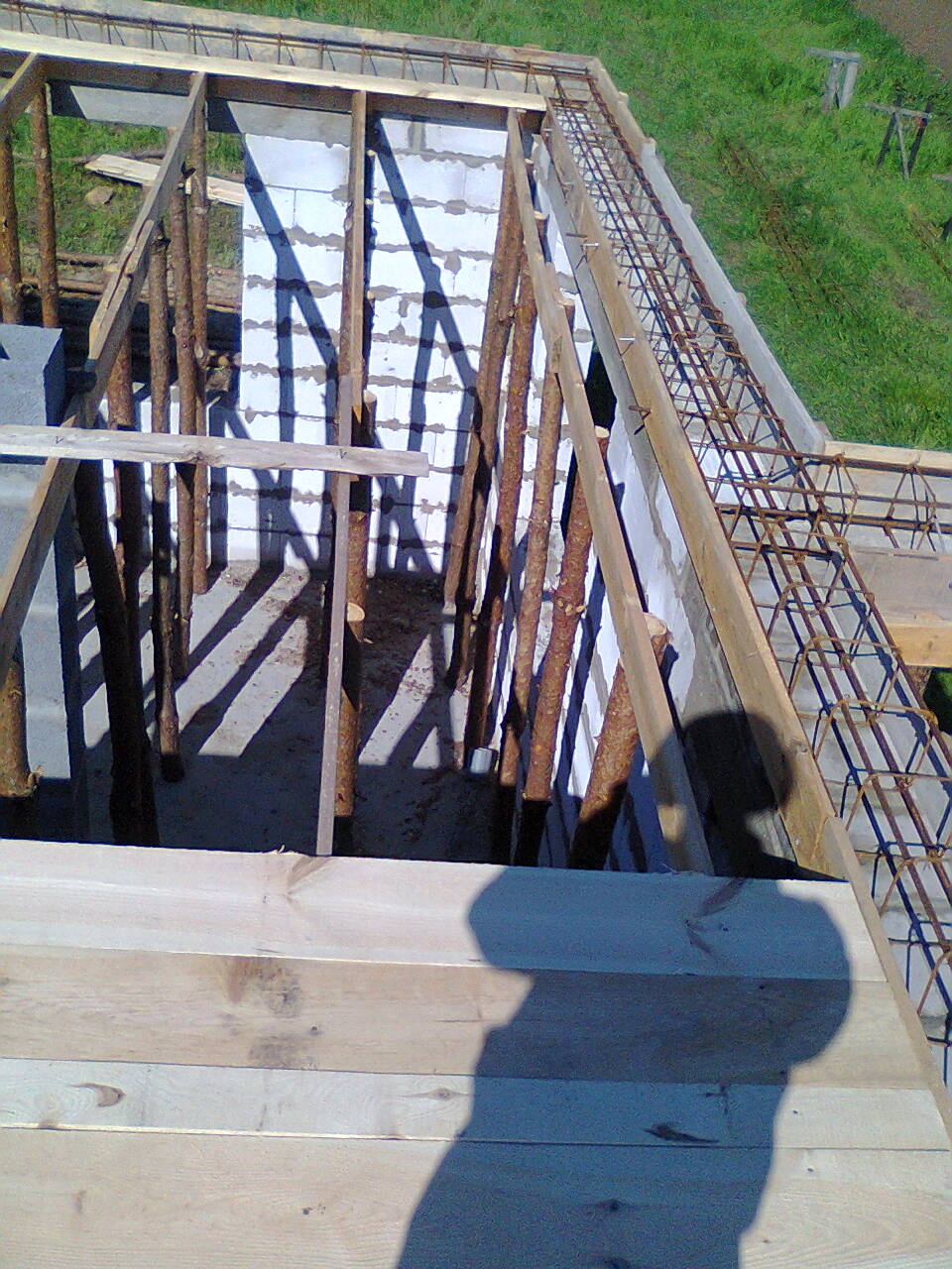 Zdjęcie do wpisu: i im oczom ukazał się las :)