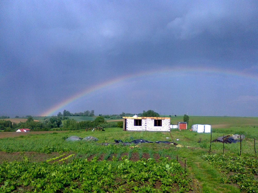 Zdjęcie do wpisu: coś wspaniałego