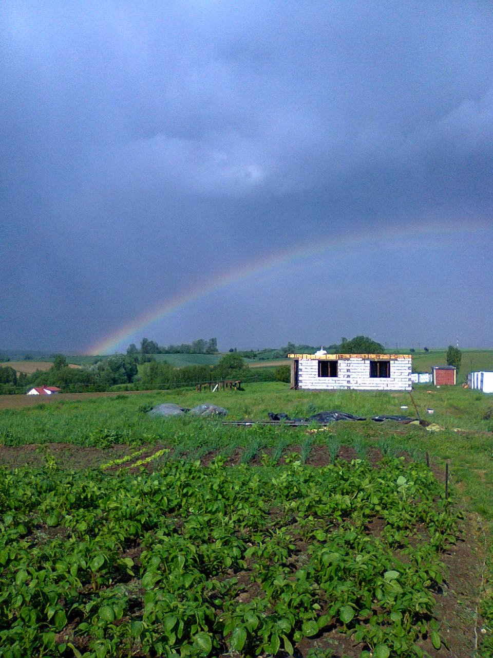 Zdjęcie do wpisu: coś wspaniałego