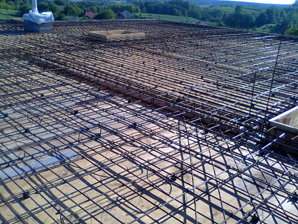 Zdjęcie do wpisu: i im oczom ukazał się las :)