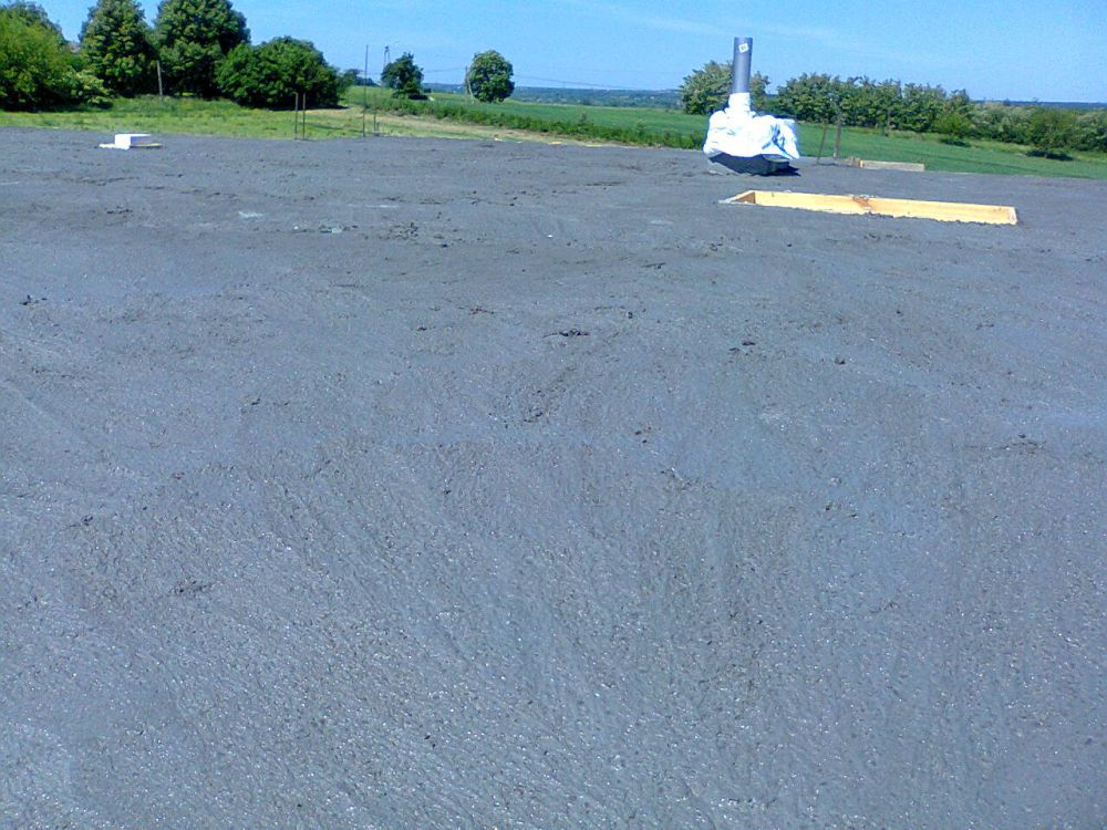 Zdjęcie do wpisu: i im oczom ukazał się las :)