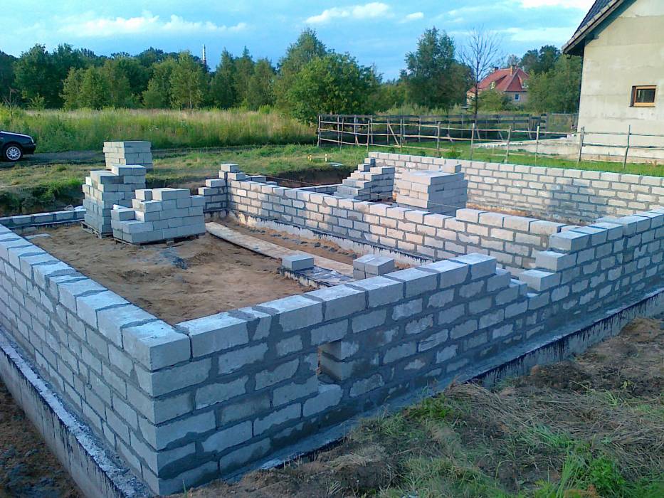 Zdjęcie do wpisu: Delicja rośnie w siłę.