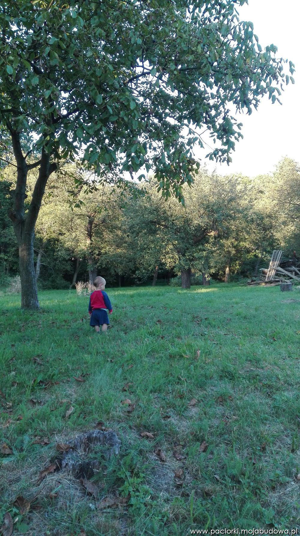 Zdjęcie do wpisu: Czekamy. Czekamy... Czekamy!