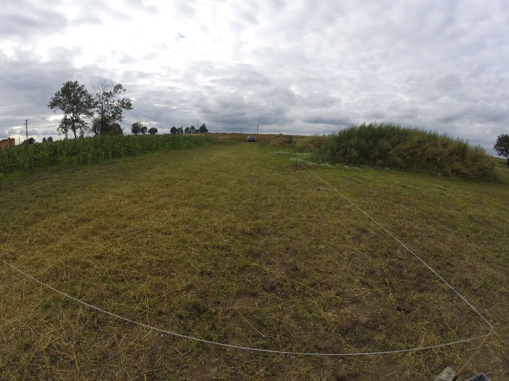 Zdjęcie do wpisu: Koszenie