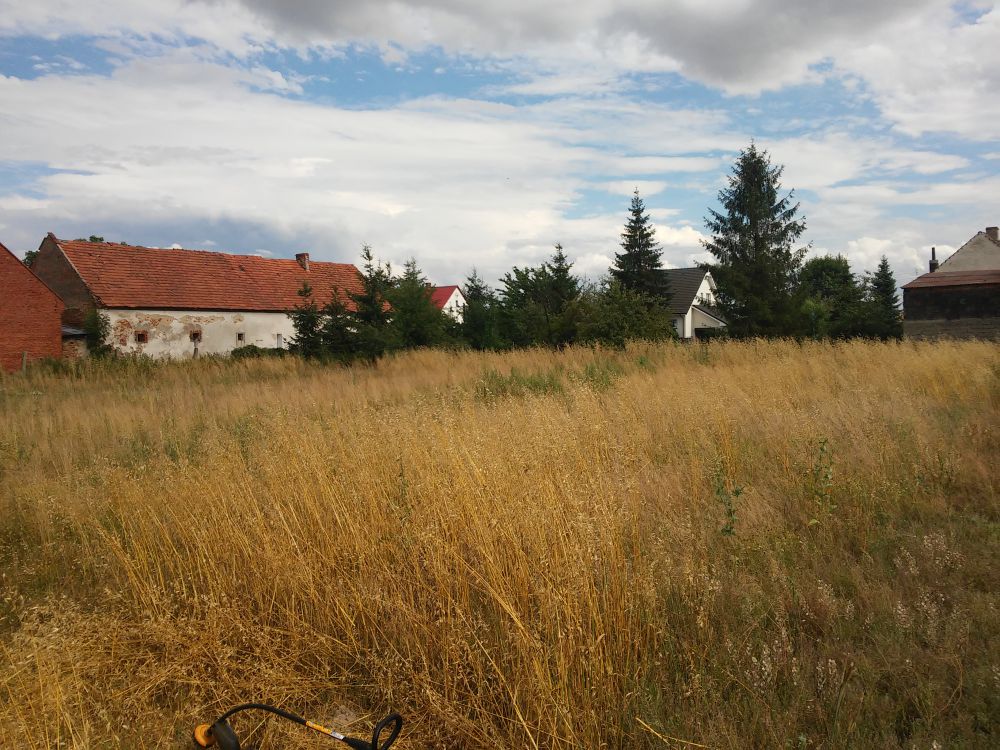 Zdjęcie do wpisu: Koszenie