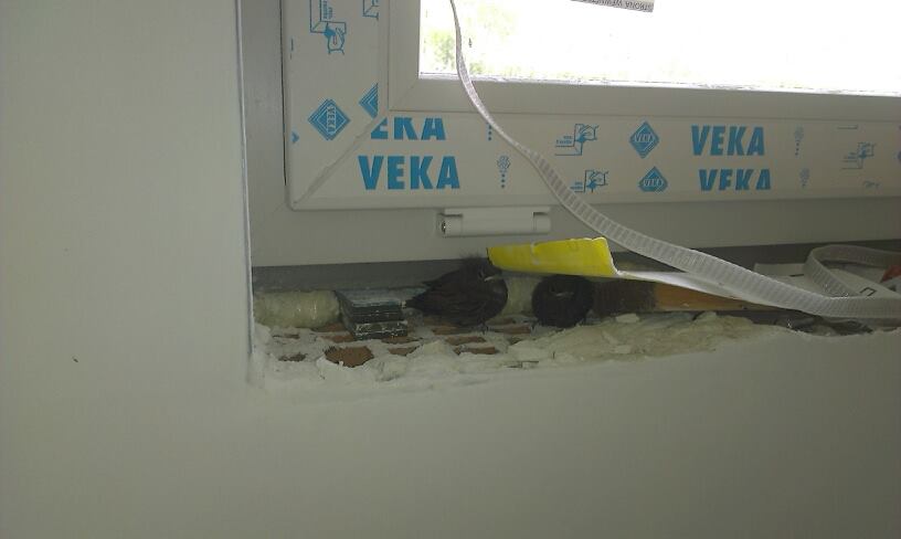 blog budowlany - mojabudowa.pl