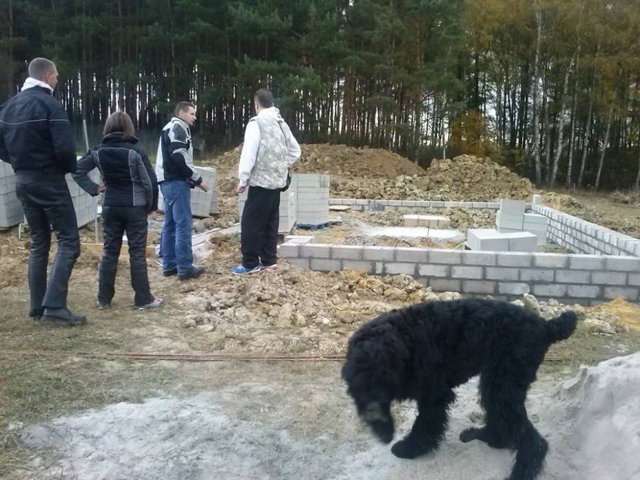 blog budowlany - mojabudowa.pl