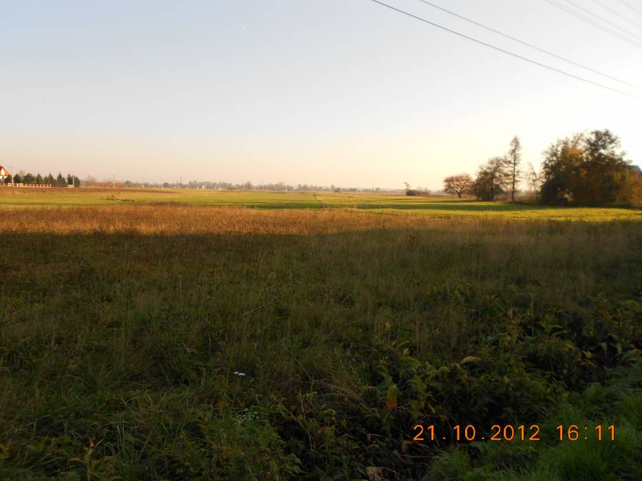 Zdjęcie do wpisu: zaczynamy...