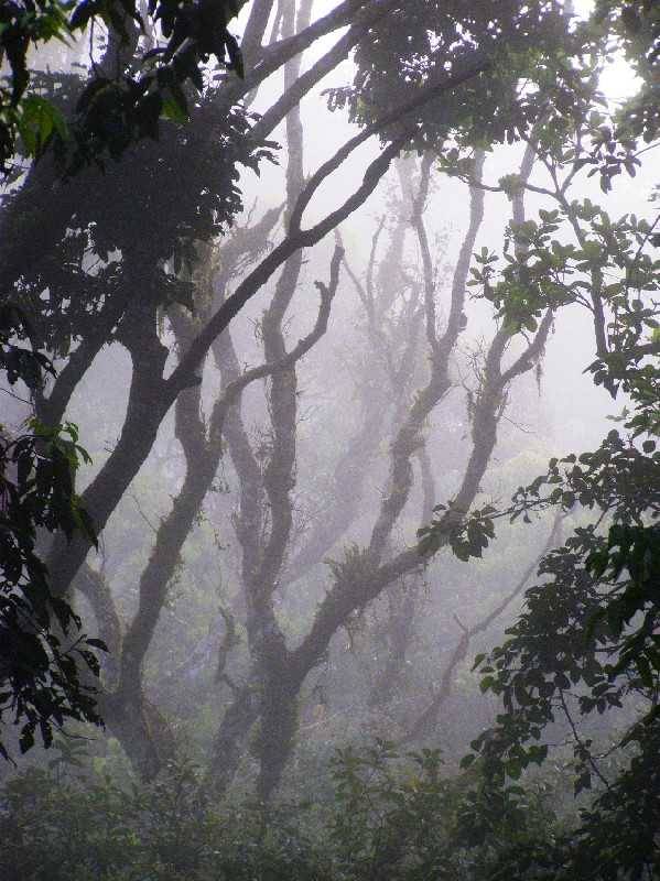 mojabudowa.pl - blog budowlany