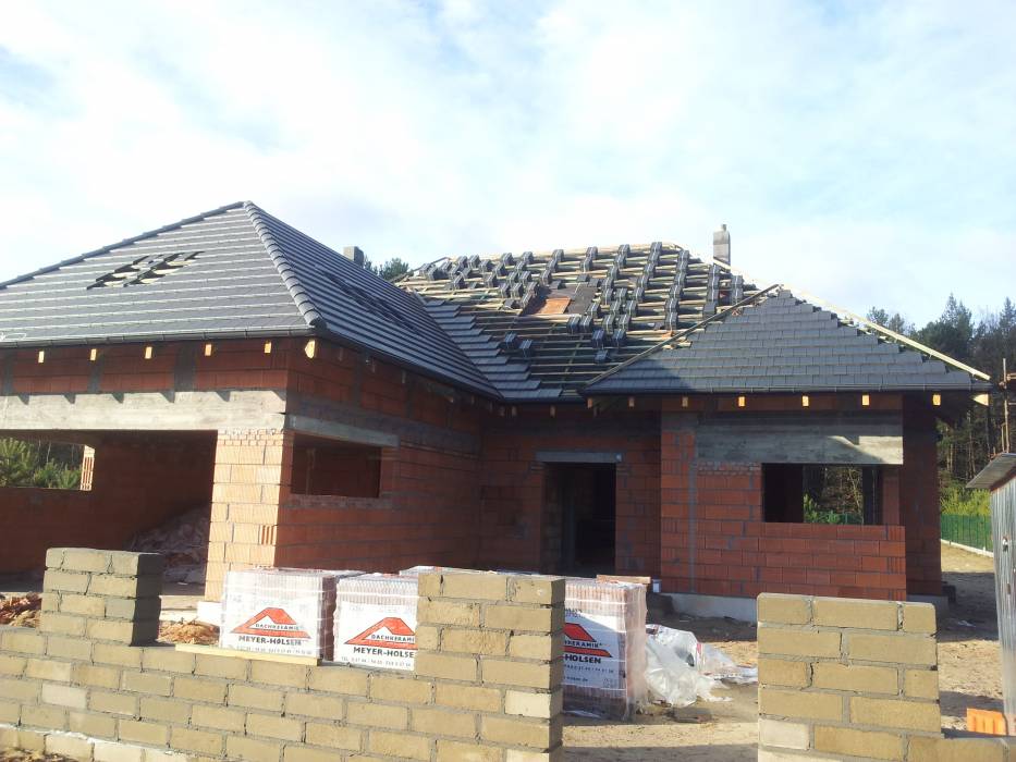 Zdjęcie do wpisu: Pigwowiec 3 pod Poznaniem