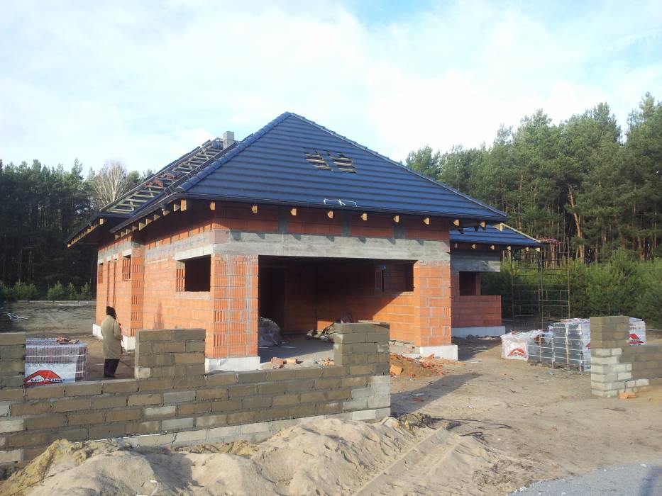 Zdjęcie do wpisu: Pigwowiec 3 pod Poznaniem