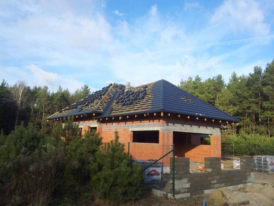 Zdjęcie do wpisu: Pigwowiec 3 pod Poznaniem