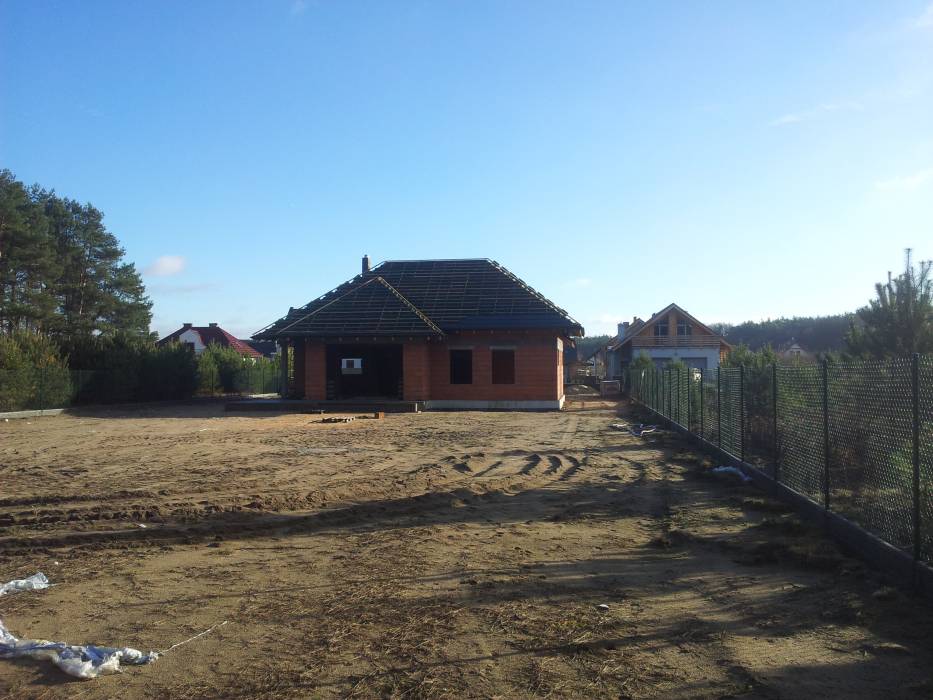 Zdjęcie do wpisu: Pigwowiec 3 pod Poznaniem