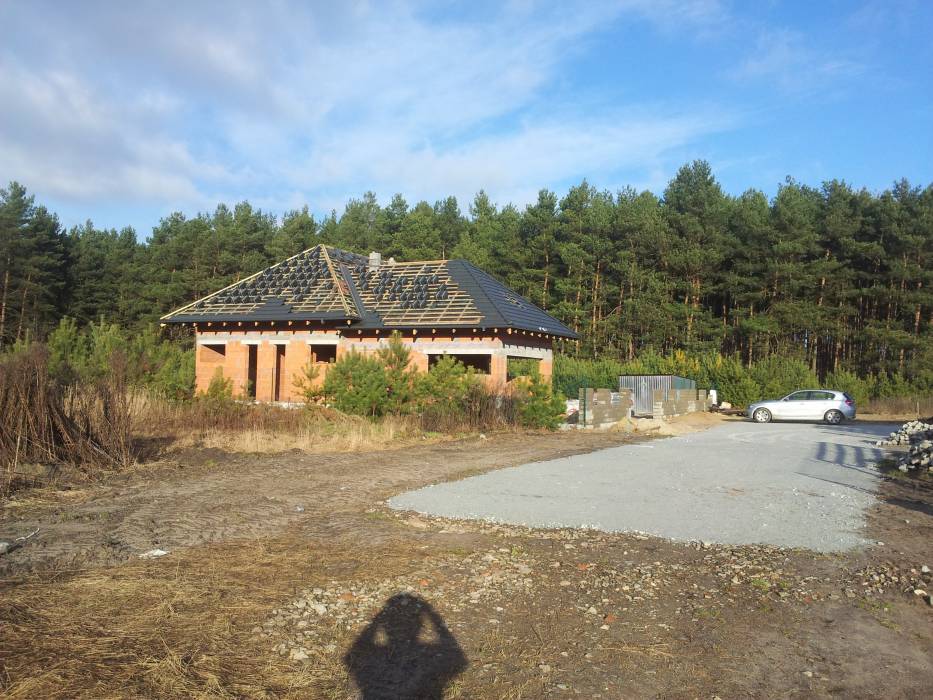 Zdjęcie do wpisu: Pigwowiec 3 pod Poznaniem