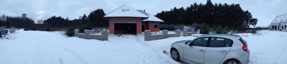 Zdjęcie do wpisu: Pigwowiec 3 pod Poznaniem