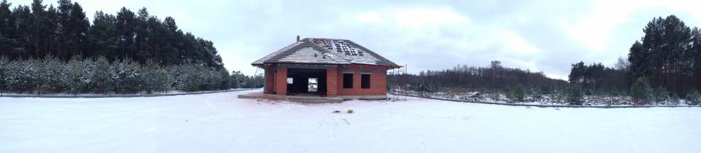 Zdjęcie do wpisu: Pigwowiec 3 pod Poznaniem