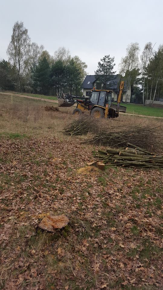 Zdjęcie do wpisu: od początku