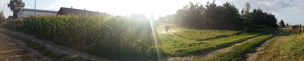 blog budowlany - mojabudowa.pl