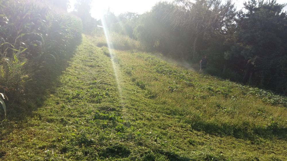 blog budowlany - mojabudowa.pl