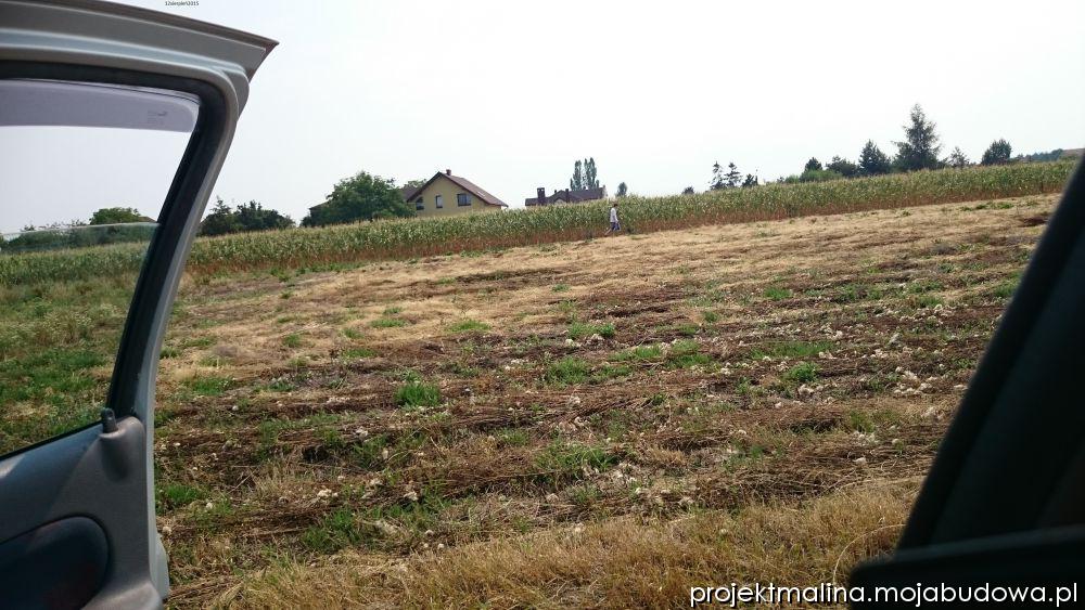 Zdjęcie do wpisu: Działka