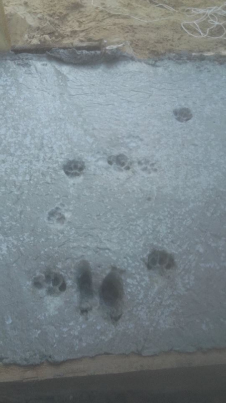 mojabudowa.pl - blog budowlany