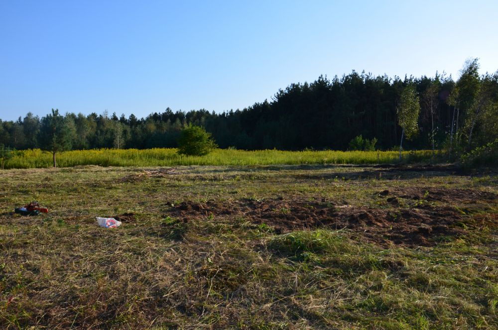blog budowlany - mojabudowa.pl