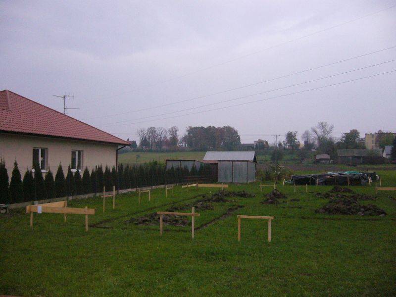 Zdjęcie do wpisu: ...