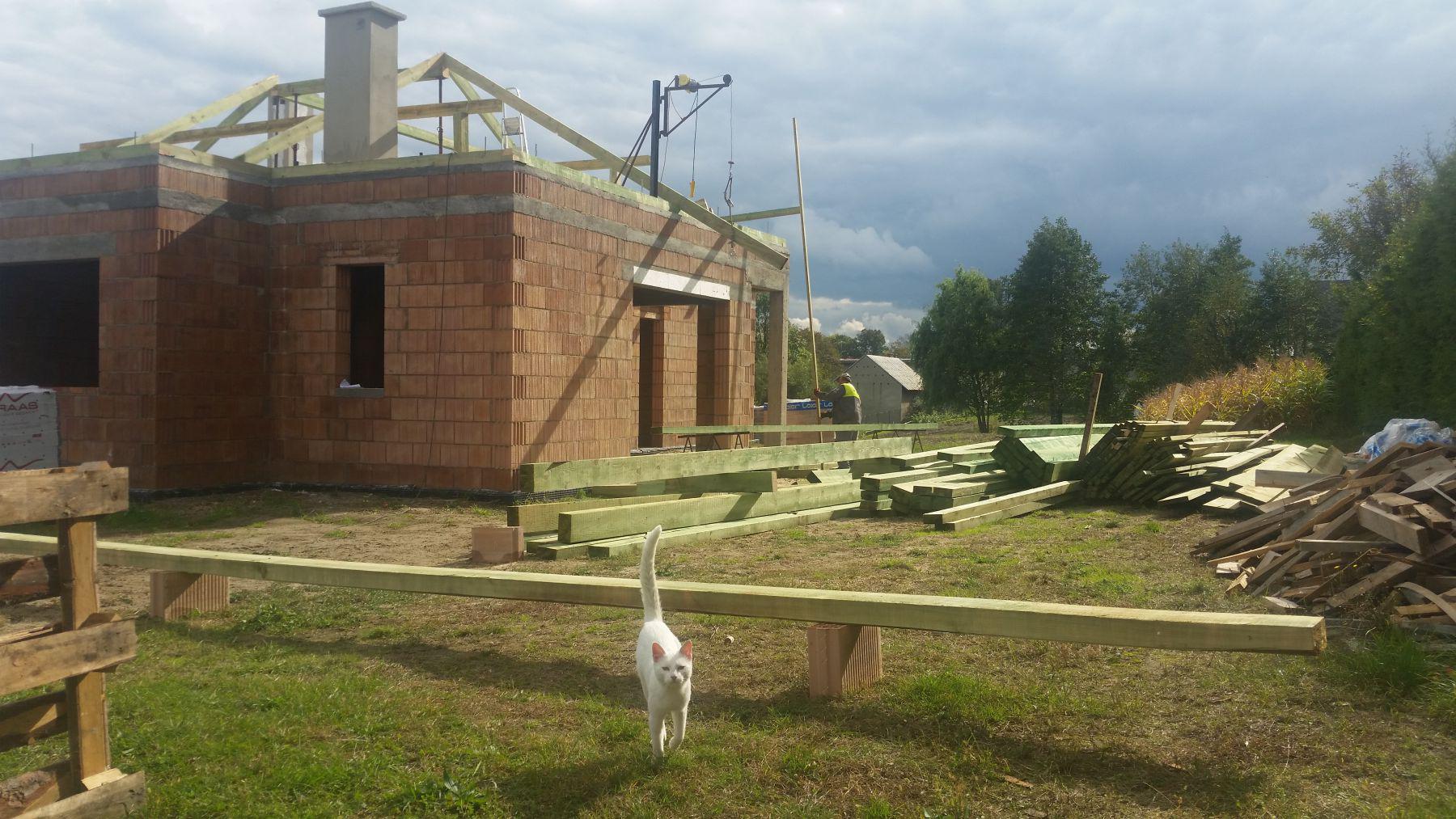 blog budowlany - mojabudowa.pl