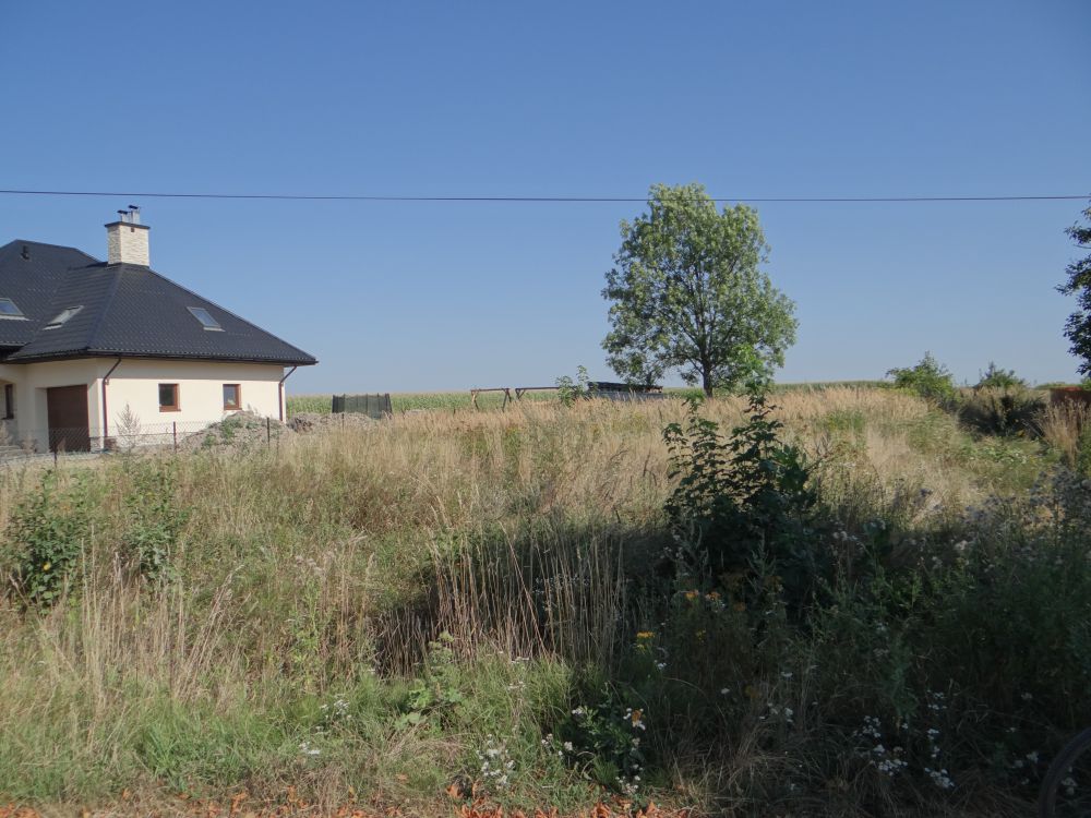 blog budowlany - mojabudowa.pl