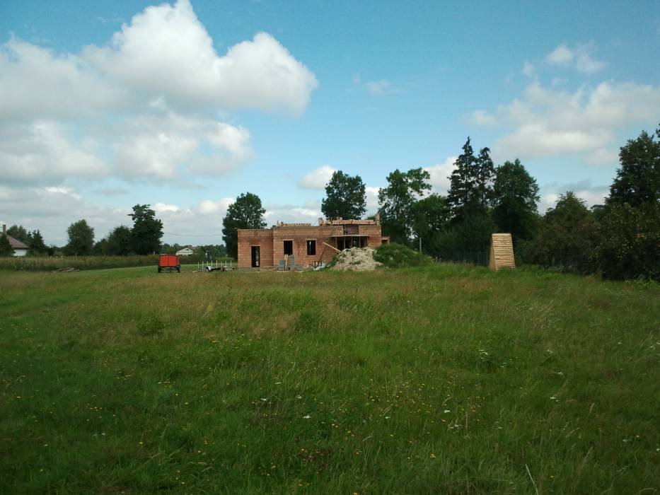 Zdjęcie do wpisu: Kamelia od strony tarasu