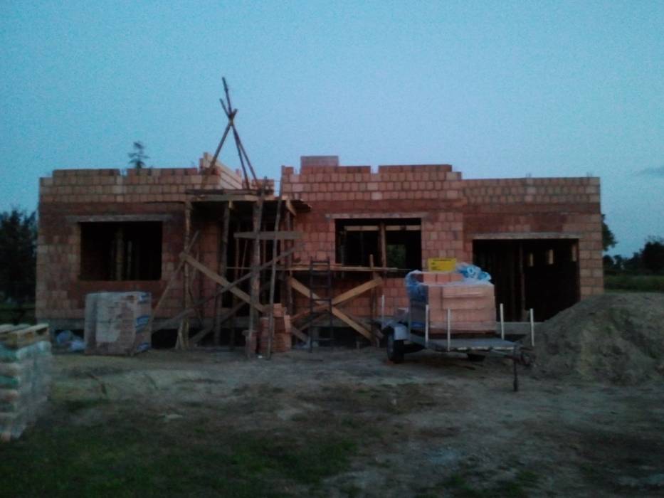 Zdjęcie do wpisu: Kamelia