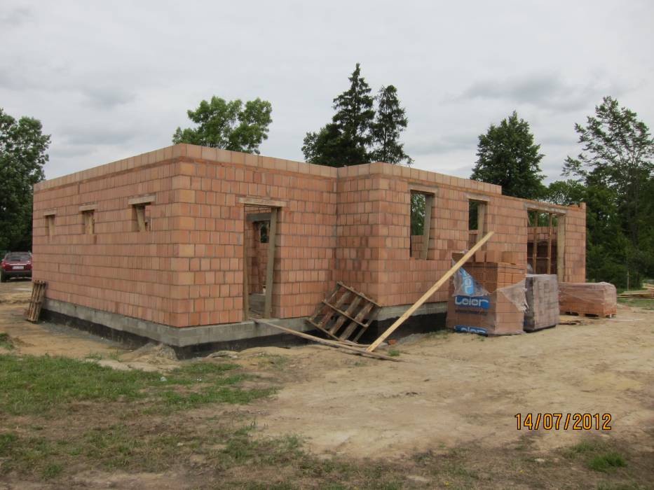 Zdjęcie do wpisu: Kamelia od strony tarasu