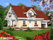 blog budowlany - avatar rododendron