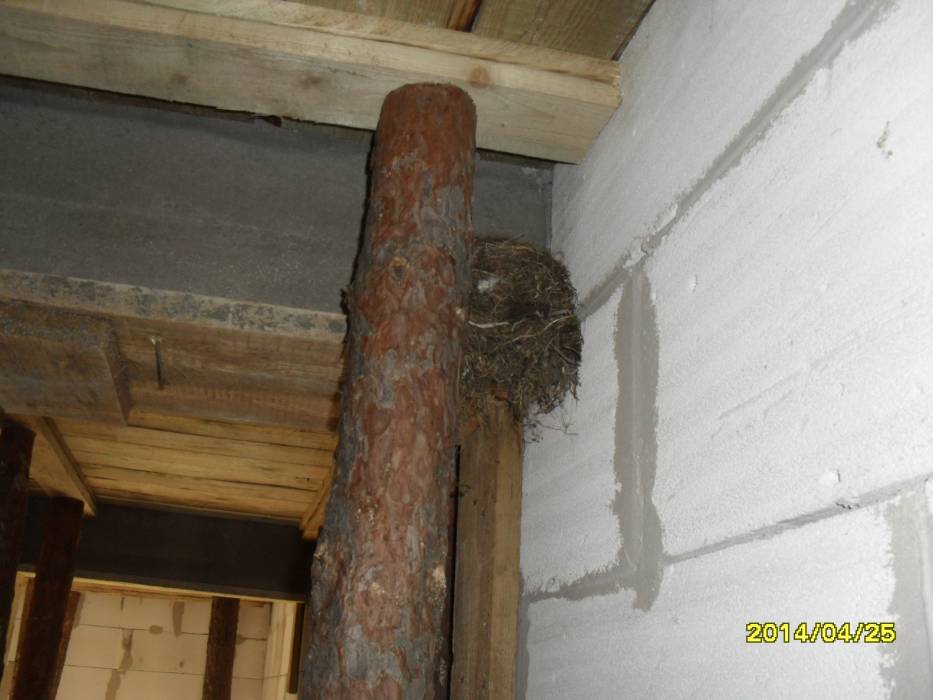 blog budowlany - mojabudowa.pl