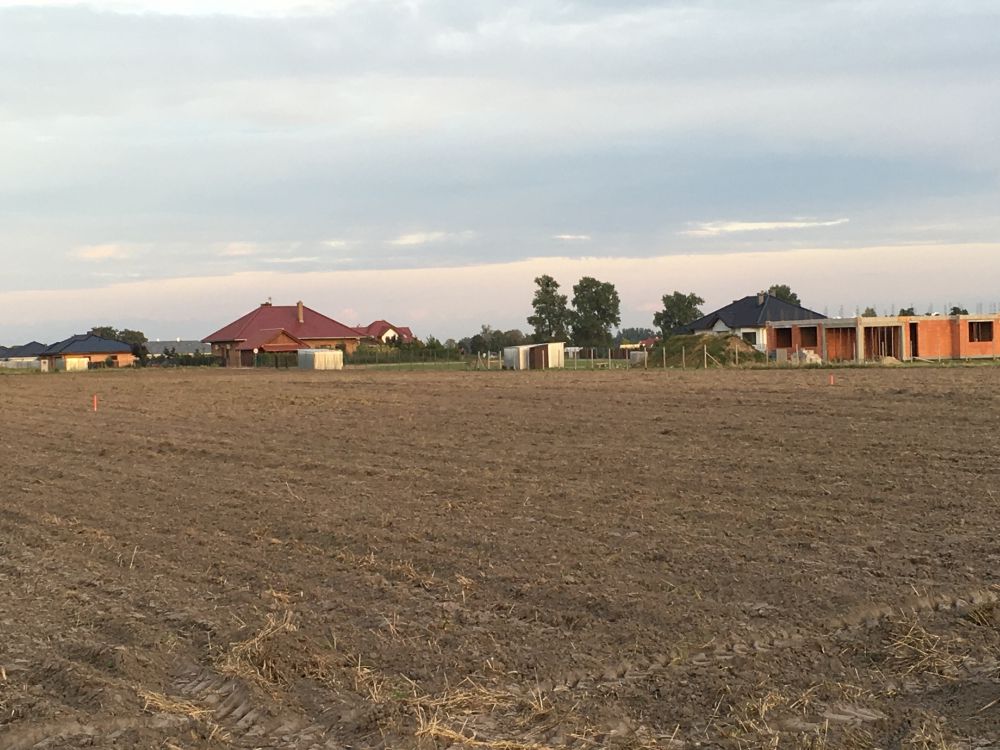 Na razie jest ściernisko:)